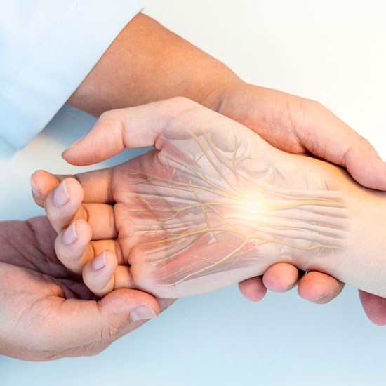 Mano y muñeca traumáticas. Fracturas y lesiones tendinosas